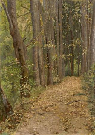 a road in park, Paul Raud